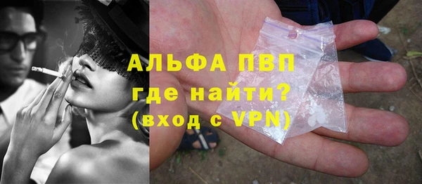 индика Беломорск