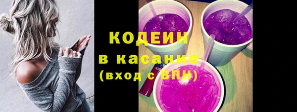 индика Беломорск