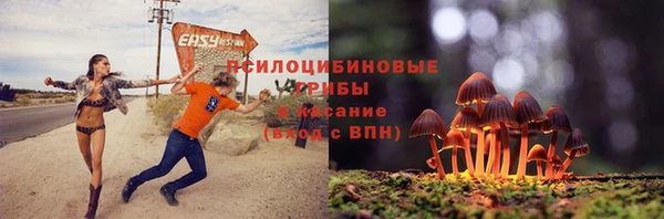 дживик Белоозёрский