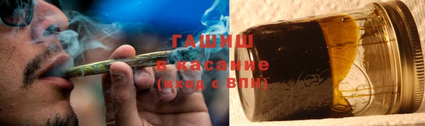 индика Беломорск