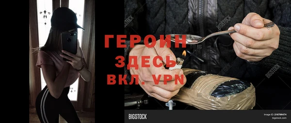 индика Беломорск