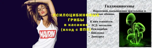 индика Беломорск