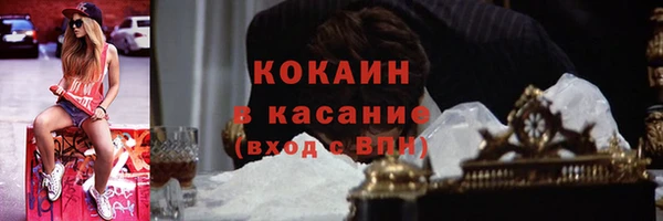 индика Беломорск