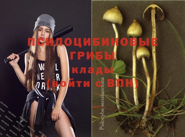 MDMA Белокуриха