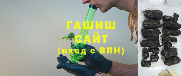 индика Беломорск