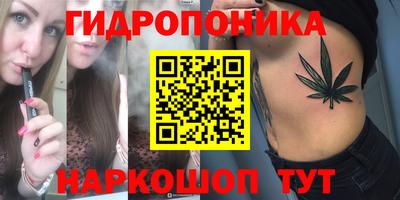 крисы Волжский