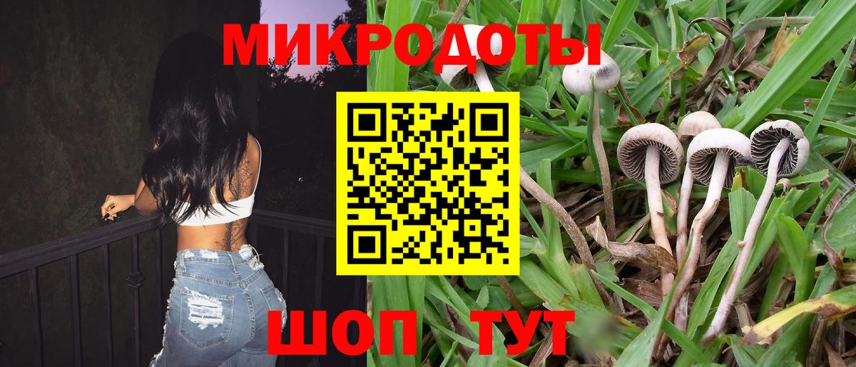 Псилоцибиновые грибы Magic Shrooms  Вход с VPN  Бугульма  купить наркотик  Псилоцибиновые грибы Psilocybe 