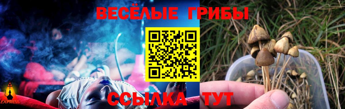 Галлюциногенные грибы MAGIC MUSHROOMS Бугульма